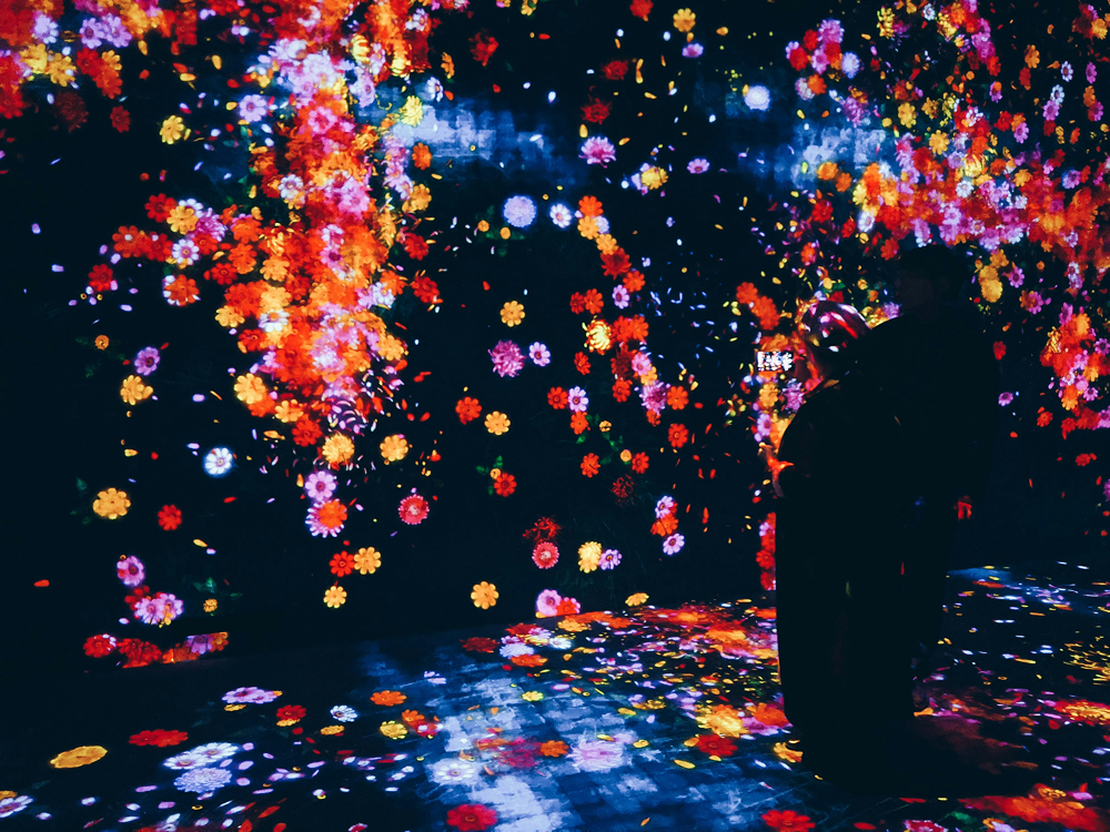 teamLab 文化探索