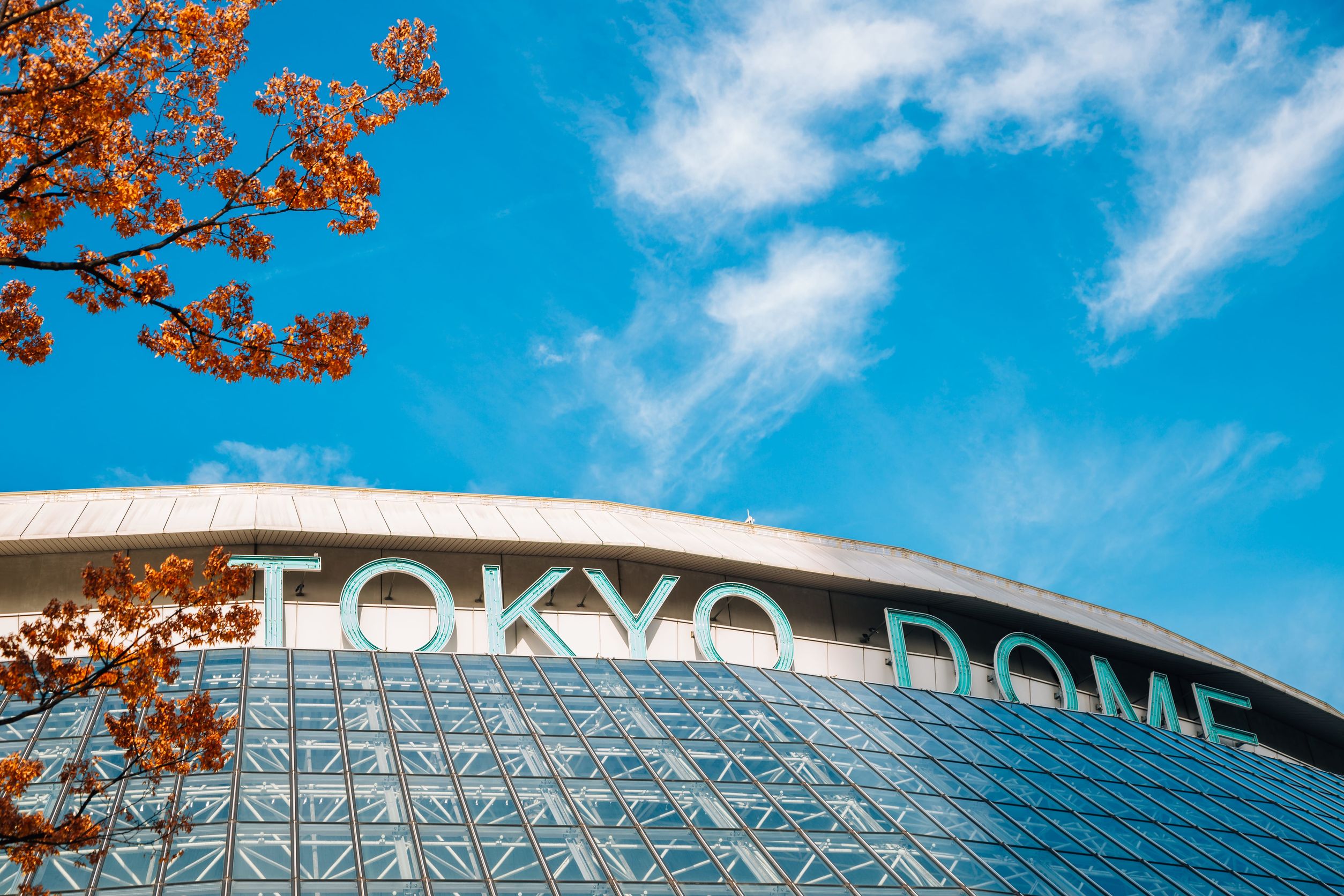 東京巨蛋主視覺